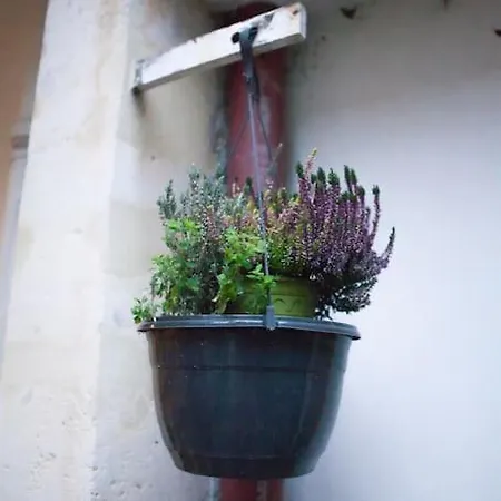 Charming Studio In A Courtyard In Paris Exterior photo
