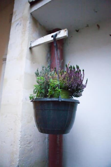 Charming In A Courtyard In Apartamento Paris